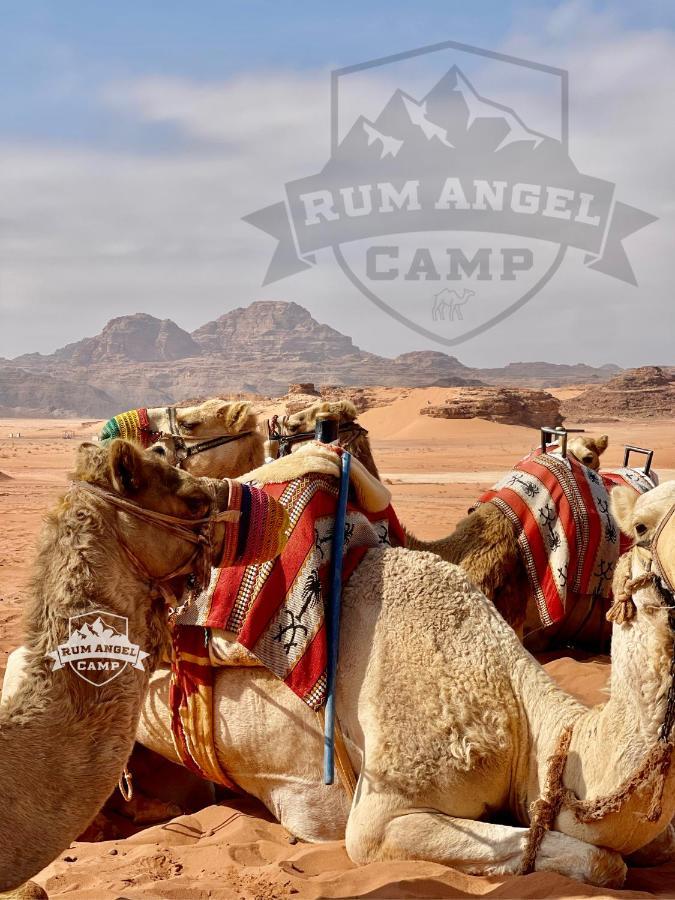 Rum Angel Camp Ram Vadisi Dış mekan fotoğraf