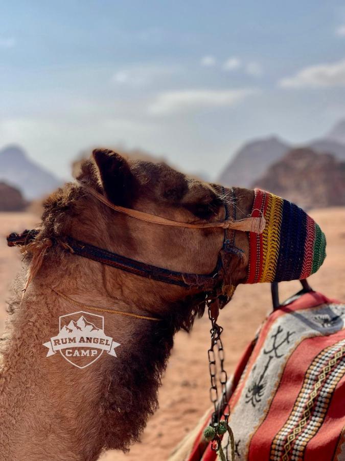 Rum Angel Camp Ram Vadisi Dış mekan fotoğraf
